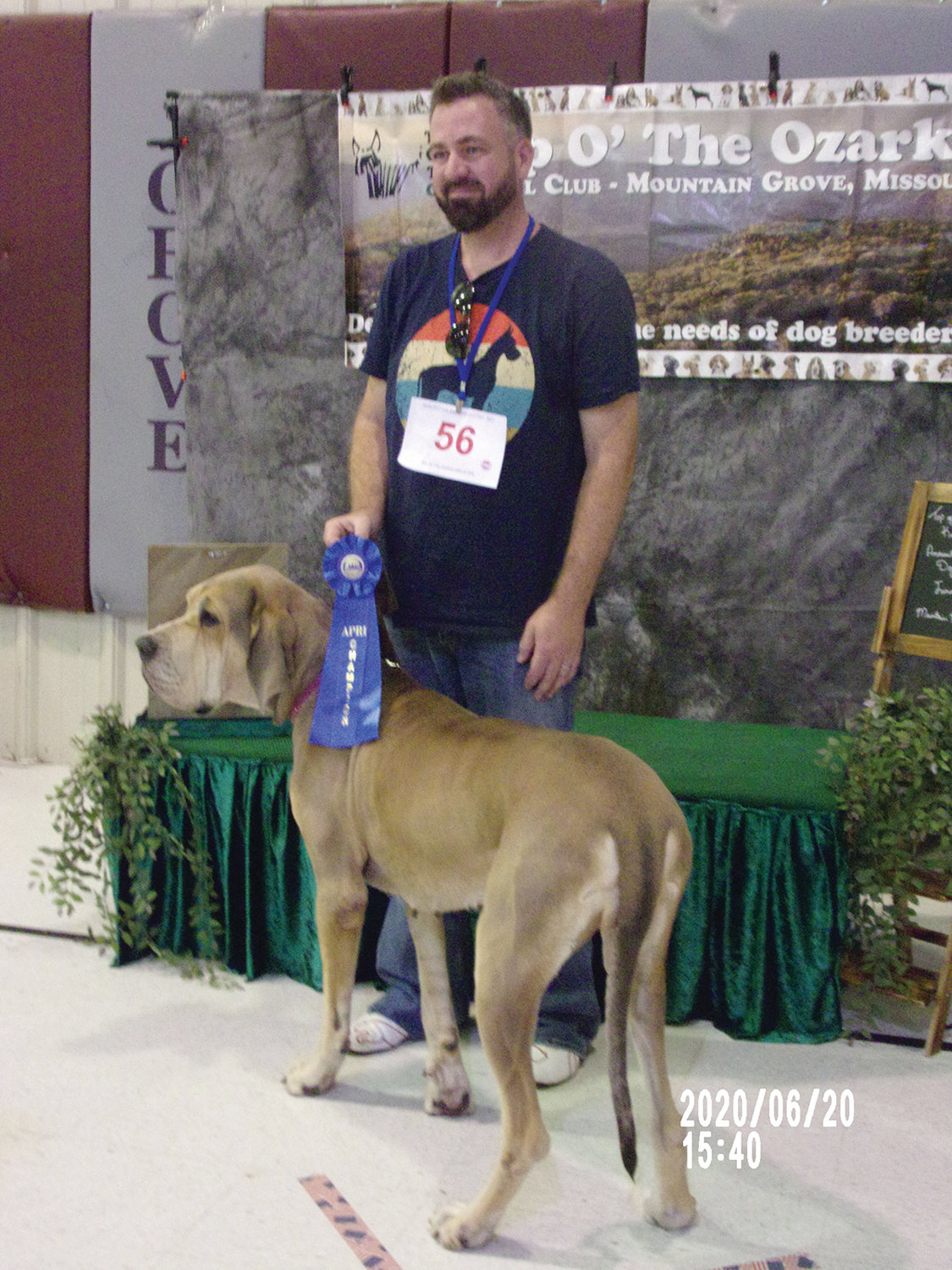 This Fawn Great Dane, “GD of the Ozarks,” scored a perfect score of the day. Also shown is Devin Harris, of Ava.